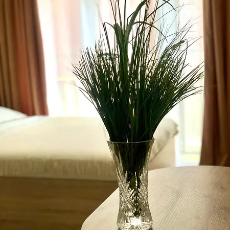 Apartman Osapart In A Complex Semycvit 2